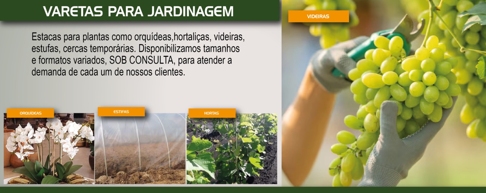 Varetas para plantação.