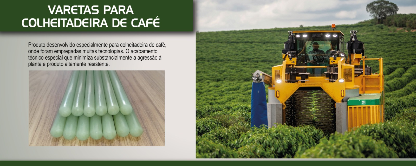 Vareta Colheitadeira Café